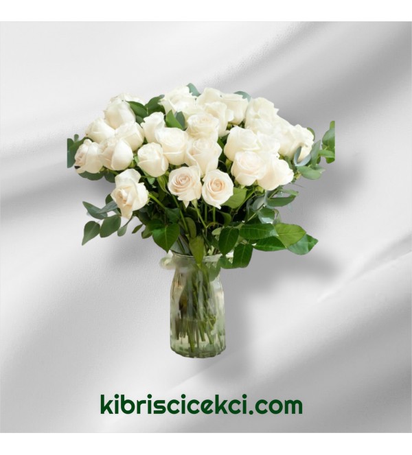 Vazoda 33 Beyaz Gül Vazoda 33 Beyaz Gül